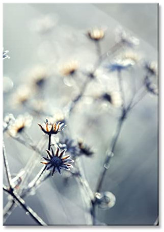 Pixxprint Glasbild, Wandbild aus Echtglas, Pflanzen im Frost, 40x60 cm, inkl. Aufhängung und Abstandshalter