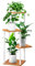 YOCOMEY 4-Tier Hölzern Blumenregal Pflanzenregal, Mehrstöckig Blumenständer Pflanzenständer Blumenbank Blumentreppe Pflanzentreppe Standregal für Innen Garten Balkon Deko(Weiß)