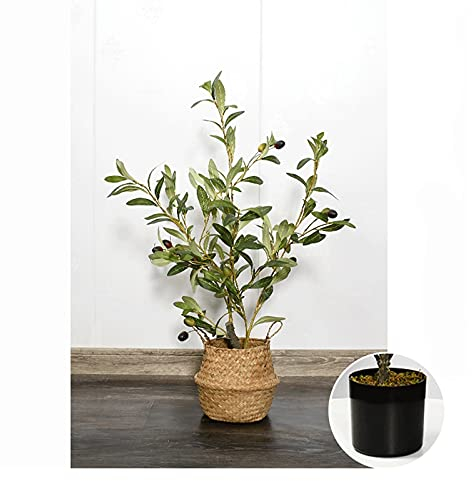 HJXX Kunstpflanze 23-Zoll-künstlicher gefälschter Olivenbaum, künstlicher Baum mit schwarzem Kunststoff-Blumentopf for Innen- oder Außendekorationen (mit gewebtem Korb) Künstlicher Bonsai