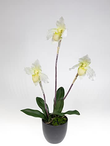 Orchidee Frauenschuh 42cm weiß GA künstliche Blumen Pflanzen Kunstpflanzen Kunstblumen