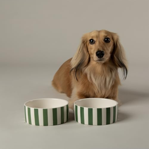 Amalfi Striped 2 Piece Dog Bowl Food & Water Bowl Set - Green - 13cm