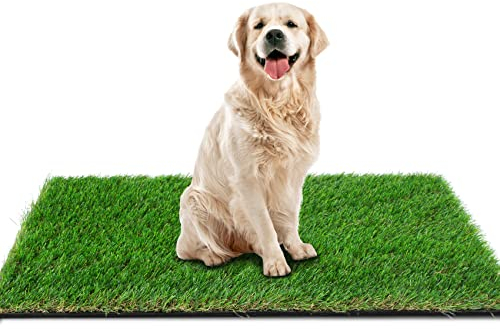 GLOBREEN Kunstgras für Hunde, 121,9 x 81,3 cm, dickes grünes, realistisches Rasengras für Terrasse, Balkon, Innen- und Außenbereich, Haustierfreundlich