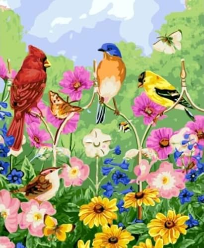 TOCAVE Malen nach Zahlen Ölgemälde nach Zahlen DIY Kit Vögel Tiere Canvas Zahlen Handgemalte Acryl Malerei Canvas Home Dekoration 40x50cm