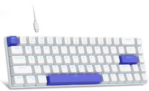 MageGee Tragbare 60 % mechanische Gaming-Tastatur, Hot-Swappable Blue Whale Switch, RGB-Hintergrundbeleuchtung, kompakte 68 Tasten, Mini-Tastatur für Windows, Laptop, PC, mit geräuscharmer Baumwolle,