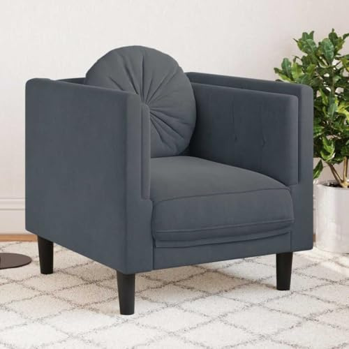 Emmtore Sofa,Polstersofa mit Kissen,Loungesofa,Designsofa für Wohnzimmer, Couch Wohnzimmersofa,Modern Samt,Dunkelgrau,Sofa
