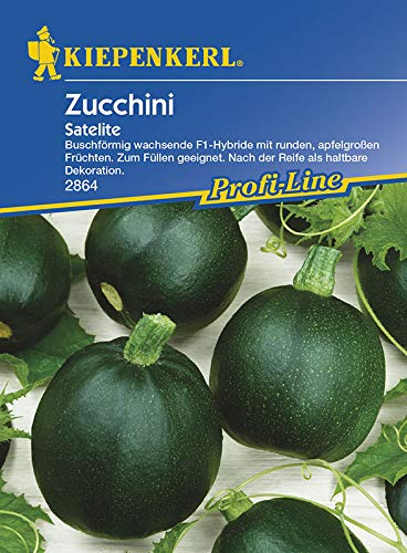 Zucchinisamen - Zucchini Satelite F1 von Kiepenkerl