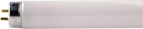 10 Stück Leuchtstofflampe TL-D 18 Watt 865 - Philips