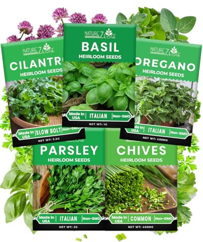 Kit varietà di 5 semi di erbe, origano, coriandolo, prezzemolo, basilico, erba cipollina