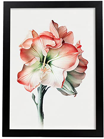 Nacnic Amaryllis Poster im nordischen Stil. Botanik Illustrationen mit Blumen und Pflanzen im Wasserfarbe. Innenarchitektur und Dekoration. A3.