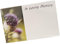 INERRA Flower Cards - Sympathy, Funeral and Remembrance Florist Message Cards - Pack of 50 (In Loving Memory 5561)
