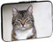PEDEA Designer protective cover 15.6 inch cat