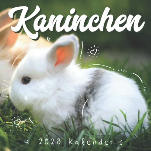 Kaninchen Kalender 2023
