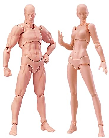 Künstlerpuppe mit Blockkopf, Gelenkfiguren, Figurenmodell zum Skizzieren, Malen, Zeichnen, Künstlerset männlich + weiblich (Fleisch)