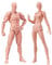 Künstlerpuppe mit Blockkopf, Gelenkfiguren, Figurenmodell zum Skizzieren, Malen, Zeichnen, Künstlerset männlich + weiblich (Fleisch)