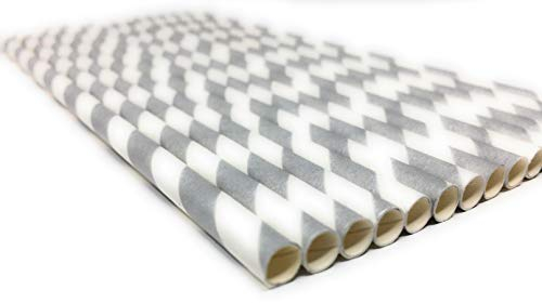 Picture Perfect Party Premium Paper Straws [Pack of 25 Drinking Straws] by (Silver Stripes)
