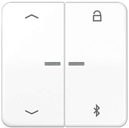 Universal-Programmierungstaste, mit Bluetooth und Alpin-Pfeilen.
