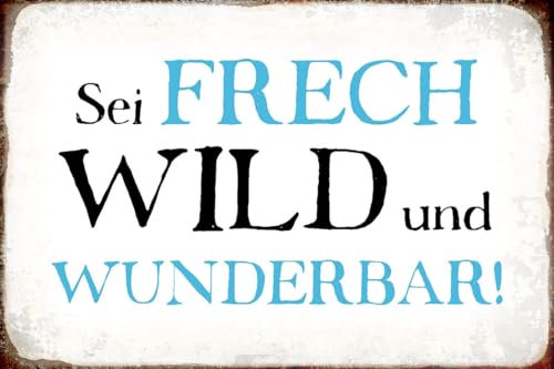 mrdeco Metall Schild 12x18cm gewölbt sei frech wild wunderbar Retro Schild