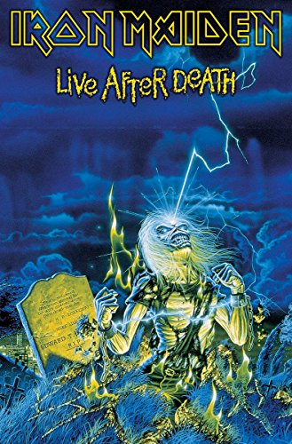 Iron Maiden Live After Death Blue Textile Flag 66x105cm