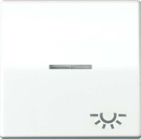 Jung AS591KO5LWW Wippe mit Symbol Licht KO