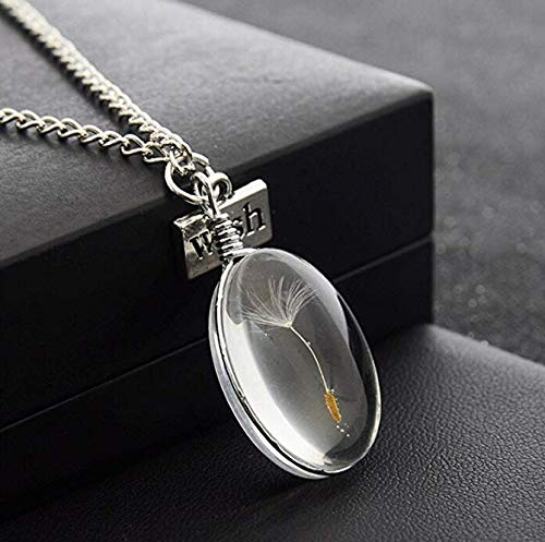 LnLyin Glass Bottle Necklace Natural Dandelion Seed in Glass Necklace Make A Wish Silver Plated Jewelry (C)