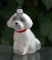 condecoro Pudel Hund Weihnachtsbaumschmuck Malteser Hund Christbaumkugel - Hanging Ornament aus mundgeblasenem Glas - Weihnachten