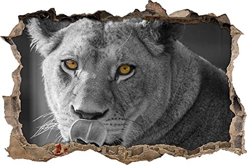 3D Wandtattoo Mauerloch Wandsticker Wandaufkleber Durchbruch selbstklebend Schlafzimmer Wohnzimmer Kinderzimmer - Löwe,Größe 52x78cm