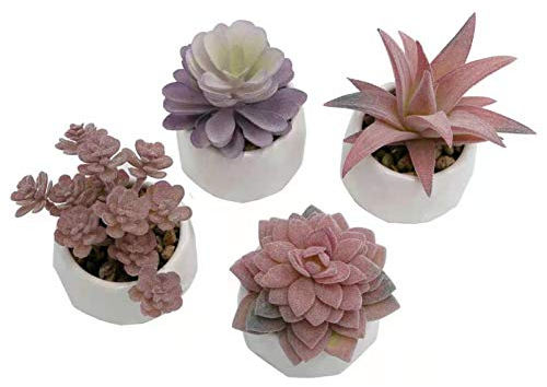 SOONPAM Künstliche Sukkulente Pflanzen Mini Topf Faux Sukkulenten Pflanzen Dekoration Gefälschte Pflanze in Weiss Keramik Töpfe 4er Set
