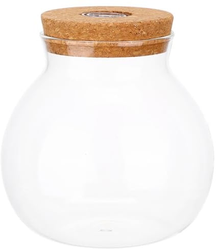 BCOATH Hydroponische Glasvase mit Led-Beleuchtung und Korkverschluss Runde Transparente Desktop-pflanzenvase Wasserdichter Propagationsbehälter Ökosysteme und Zimmerpflanzenliebhaber