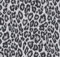 AS4HOME Klebefolie für Möbel Leopard Grau 45 cm x 200 cm