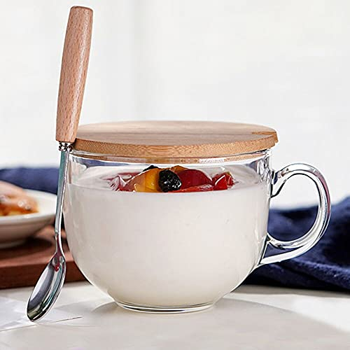 Aoderun Tazas de café de vidrio grandes de 15 onzas con tapa cuchara, para capuchino, café Latte cereal helado, Mike, lavavajillas y microondas (vidrio templado premium)