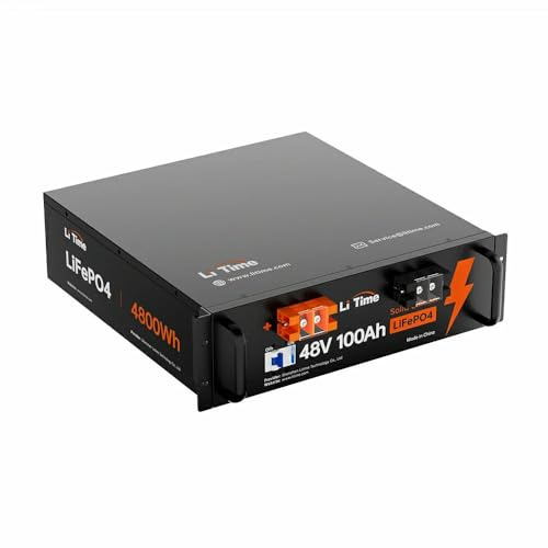 LiTime Batterie Lithium 48V 100Ah LiFePO4 pour Moteur Electrique Bateau | 100A BMS, Max. 15000 Cycles, Énergie 5120Wh, Protection Anti-froid, Max 4P4S, pour Camper Van, Bateaux, Panneau Solaire, RV