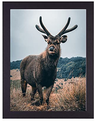 Rahmendesign24 Posterrahmen Milano 60x90 Schwarz (matt) Fotorahmen, Wechselrahmen, Bilderrahmen, Puzzlerahmen