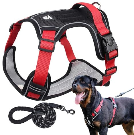 Hundegeschirr-Set, Hundetrainingsgeschirr - Weiches, nicht ziehendes Haustiergeschirr, verstellbares Hundegeschirr - Flexibles Hunde-Zuggeschirr, Hundegeschirr-Halsband-Set zum Spazierengehen, Joggen,