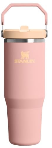 STANLEY Classic IceFlow Stainless Steel Tumbler with Straw, Vacuum Insulated Water Bottle for Home, Office or Car, Reusable Cup with Straw Leakproof