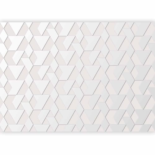 murando - Papier Peint Panoramique Intissé 350x256 cm - Revêtement Mural pour Chambre Salon - Moderne Décoration - Gris - Motifs de fond géométriques modernes en métal argenté f-A-10091-a-a