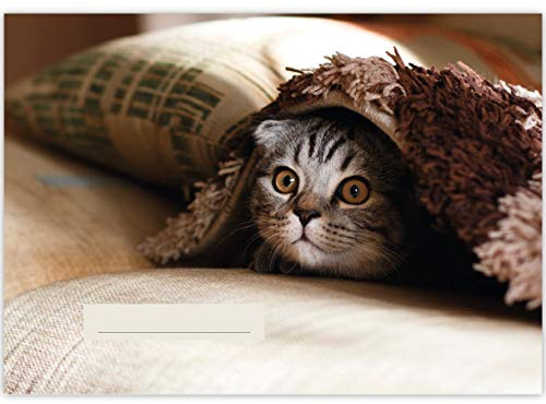 1 Katzen A3 Kinder Malblock Motiv Peek-a-boo • Zeichenblock Skizzen-Block 25 Blatt weiß, kopfverleimt, holzfreies Qualitäts-Papier 100g/m²- für Schule, Basteln, Hobby