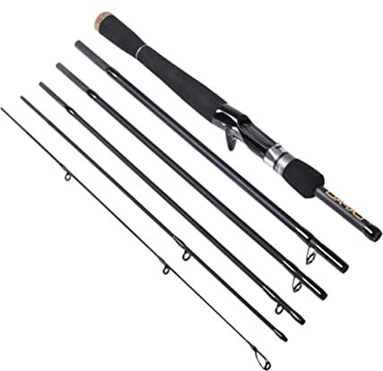 BIUDECO 2.4m Angelrute Teilige Tragbare Casting-rute Für Süßwasser Und Salzwasserangeln Geeignet Für Barsch Forelle Karpfen Mit Robustem Rollenhalter Und Keramischen Führungsringen