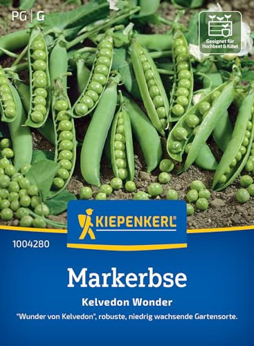 Kiepenkerl Markerbsensamen Kelvedon Wonder 1004280 - Robuste Erbsensamen für kleine Gärten, ideal für Hochbeet & Kübel, süße Hülsenfrüchte, Gemüsesamen für 8-10 lfd. Meter