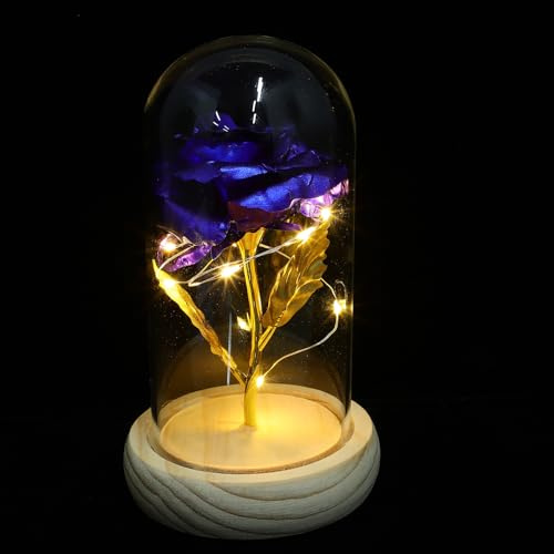 AMUSLESUR Lampe LED Rose Immortelle Bleue sous Cloche en Verre, Ornement Floral sans Piles pour Salon, Présent pour Saint Valentin