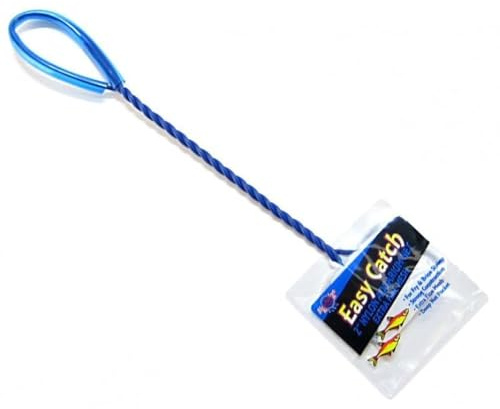 Blue Ribbon Easy Catch Fine Mesh Fish Net, 2
