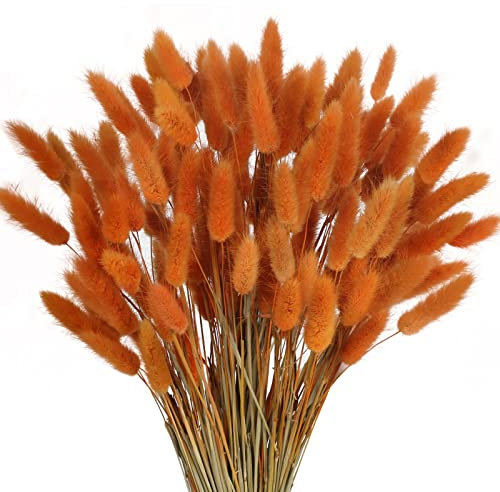 SLFYEE 120 Pcs Trockenblumen Klein Pampasgras Natürliche Getrocknet Blumen Getrocknetes Schilfgras Klein für Hochzeit Hause Party Wedding Büro Fotografie Vase Deko Orange