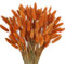 SLFYEE 120 Pcs Trockenblumen Klein Pampasgras Natürliche Getrocknet Blumen Getrocknetes Schilfgras Klein für Hochzeit Hause Party Wedding Büro Fotografie Vase Deko Orange