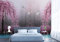 Fototapete 3D Tapete Rosa Kirschblüten-Schwanenwald Tapeten Vliestapete Wandbilder XXL Wanddeko Wandtapete -309195 400x280cm