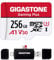 [GIGASTONE] 256GB Micro SD Karte mit USB Typ C Kartenleser, Gaming Plus, MicroSDXC Speicherkarte für Nintendo Switch 1, 4K Videoaufnahme, UHS-I A1 U3 V30 C10, bis zu 100MB/s, mit Adapter