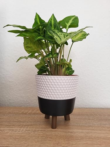 Macetero con patas en 4 tamaños diferentes, maceta blanca y negra, patas disponibles en cuatro colores, impresión 3D (cacao, S)