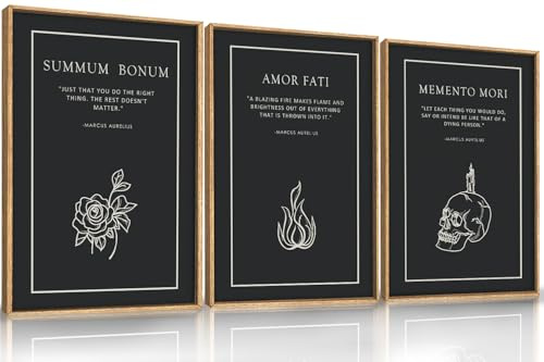 HLNIUC Halloween-Wandkunst, 3er-Set, schwarze Skelett-Meditationen, Heimdekoration, Amor Fati Memento Mori Stoic Art (40,6 x 61 cm), Vintage-Blume, Feuer, Marcus Aurelius, Gemälde für Wohnzimmer