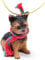 Conversation Concepts Weihnachts-Ornament Yorkshire Terrier