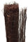 INTERMAS - Brezo Natural Bruc Deco Intermas 1X5 M