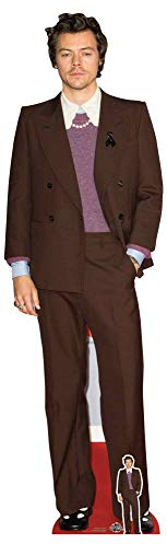 Harry Styles - Mauve Jacket - Prominente Star VIP - Pappaufsteller Standy - 56x183 cm