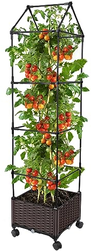 Kalolary Cama Jardín Elevada con Enrejado para Plantas Trepadoras, 67 Pulgadas Soporte Crecimiento Plantas Caja Macetas Enrejado Ruedas Macetero Elevado Escalada Vid Vegetal Interiores Exteriores